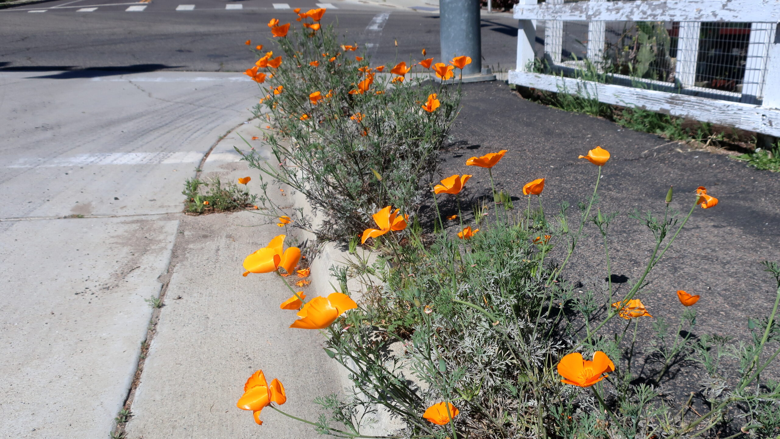 Fallbrook, CA